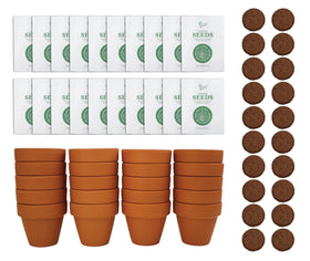 BUZZY sunflower starter kit with 20 mini terracotta pots ready for planting