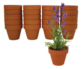 BUZZY terracotta pot close-up showing compact design