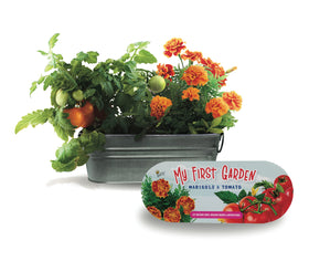 BUZZY Seeds tomato seeds package for fresh homegrown tomatoes.