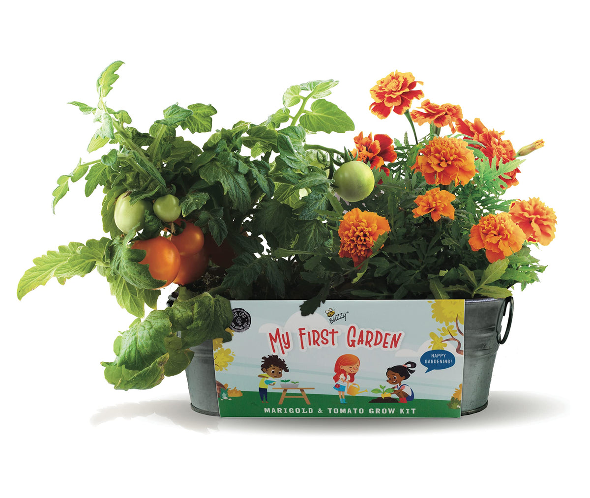 BUZZY Seeds windowsill planter and seeds for a hands-on family garden.