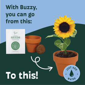 Wedding favors using BUZZY sunflower starter kit in decorative setup