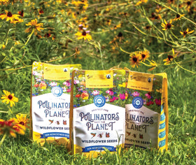 BUZZY Wildflower Seed Mix packaging highlights all-natural non-GMO seeds for biodiversity
