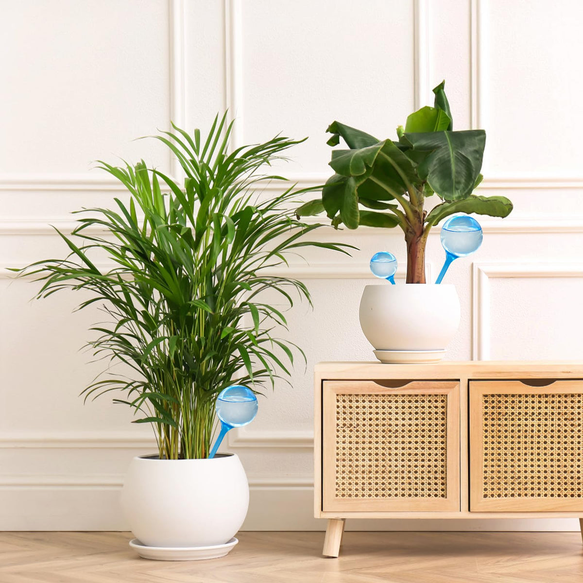 Bvrbaory easy-fill design allows quick setup for home gardening