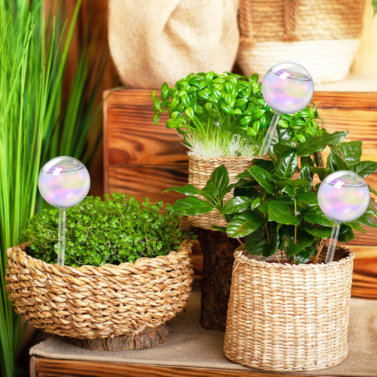 Bvrbaory gift-ready rainbow globe, ideal for plant lovers