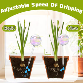 Bvrbaory hand-blown glass bulb adds decorative touch to plant care
