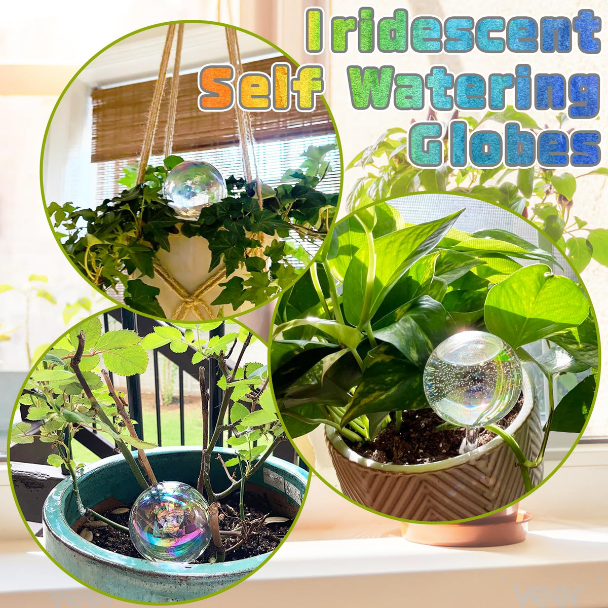 Bvrbaory versatile globe for indoor and outdoor plant care
