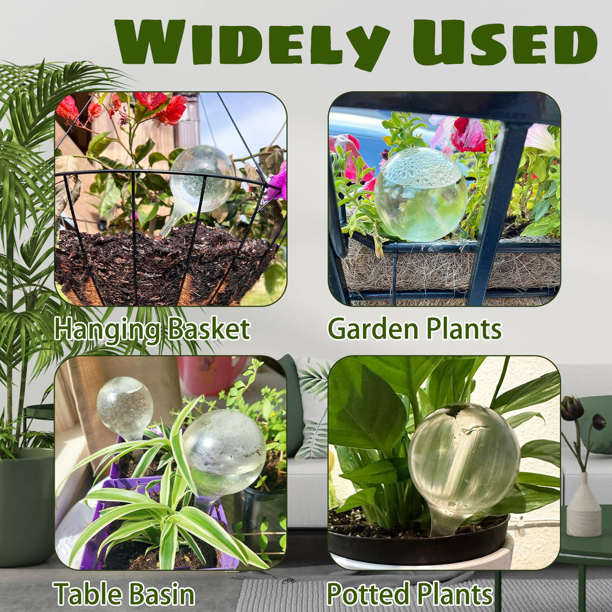 Bvrbaory use for indoor and outdoor plants and pots