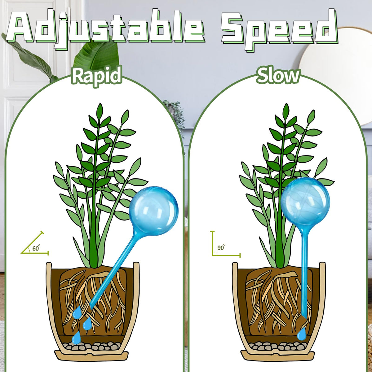 Bvrbaory indoors with plants demonstrating easy, worry-free hydration