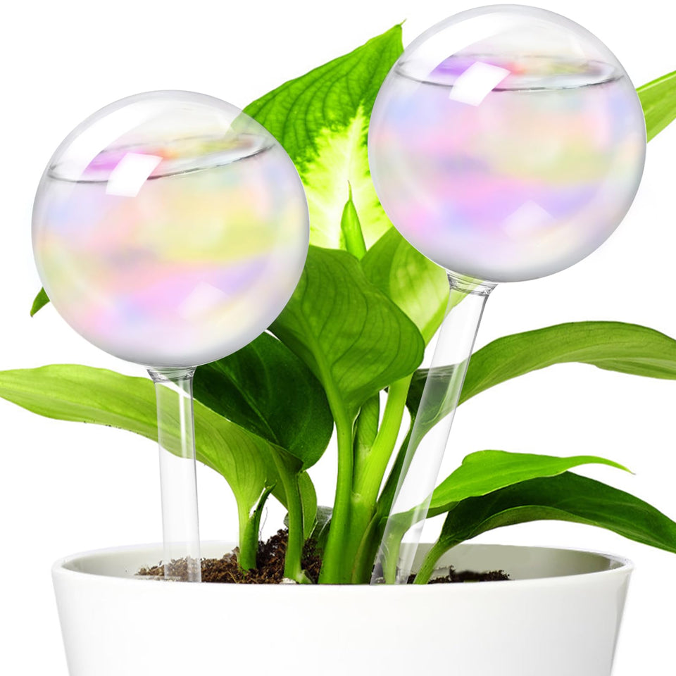 Bvrbaory iridescent self-watering globe ready to water indoor plants