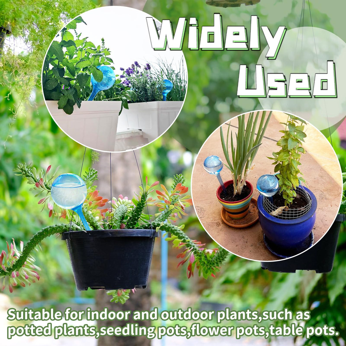 Bvrbaory outdoor pots and hanging baskets benefiting from consistent moisture