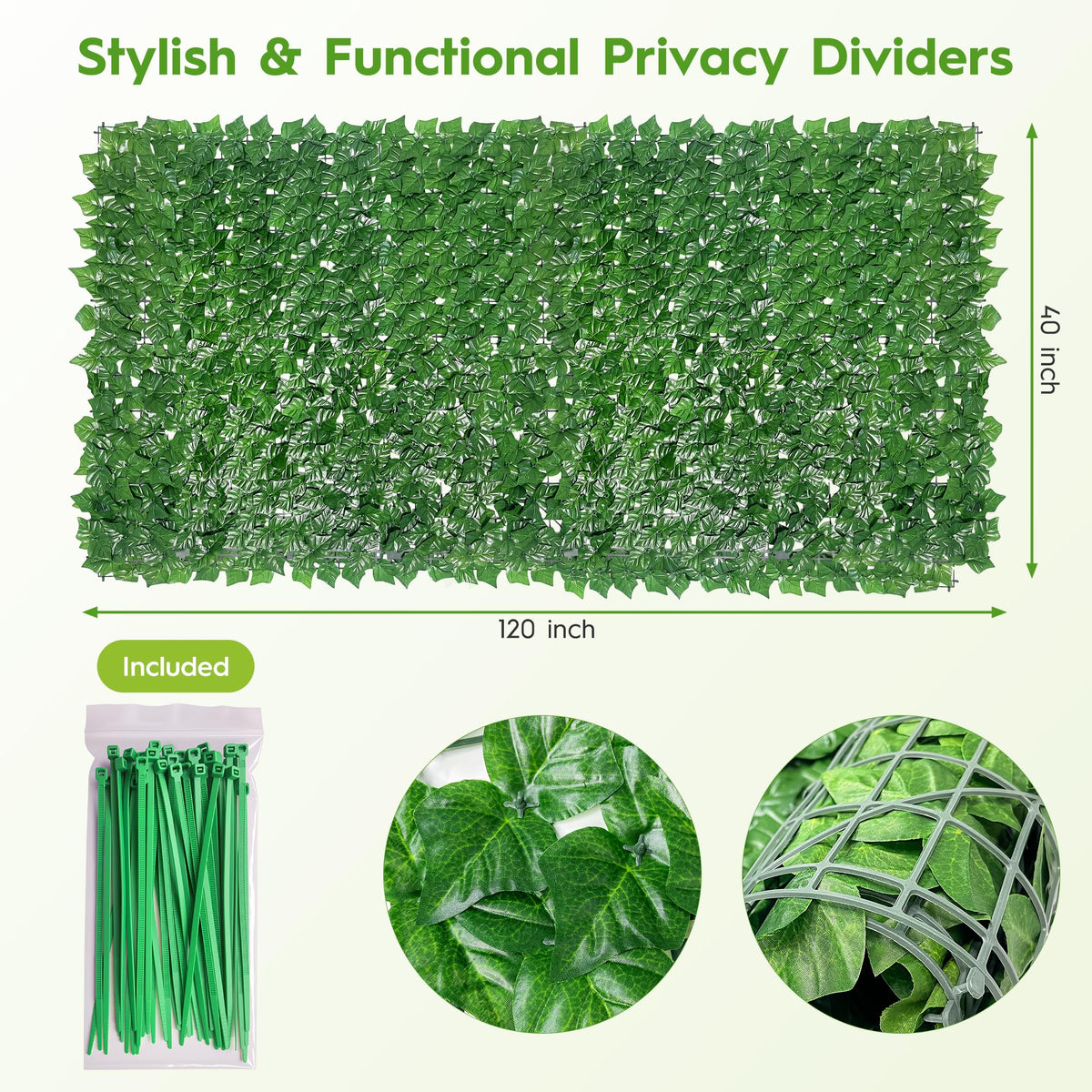 Dense Bybeton ivy on a fence creates lush greenery and privacy