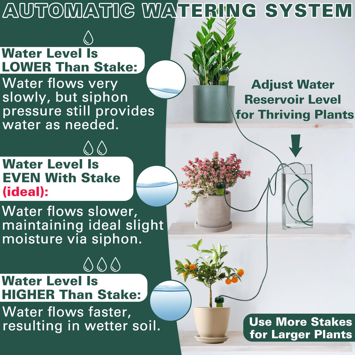 BYDOLL indoor-outdoor watering spike for versatile plant care.