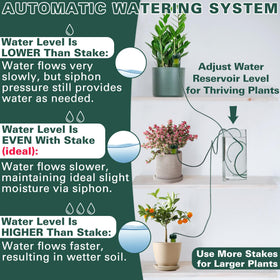 BYDOLL indoor-outdoor watering spike for versatile plant care.