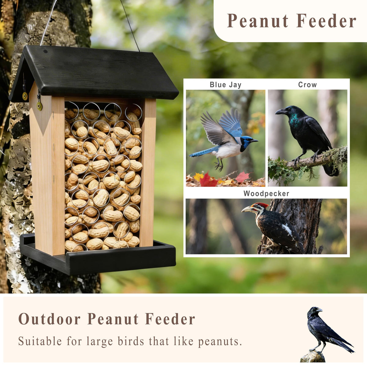 BYGIXU Crow Feeder showing the stainless steel hanging cord for outdoor use.