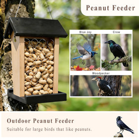 BYGIXU Crow Feeder showing the stainless steel hanging cord for outdoor use.