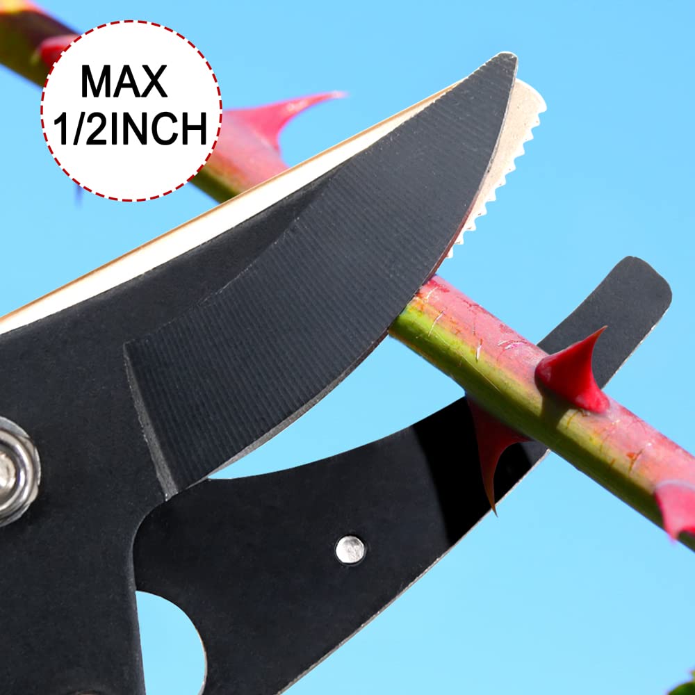 Byhagern fruit-picking pruner for harvesting and pruning duties.