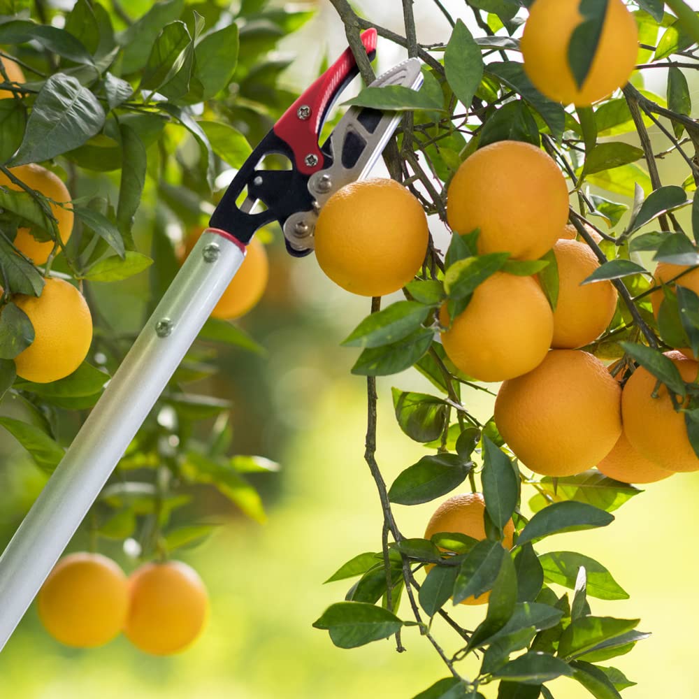 Byhagern long-reach pruner featuring a rotating cutter head for angled cuts.
