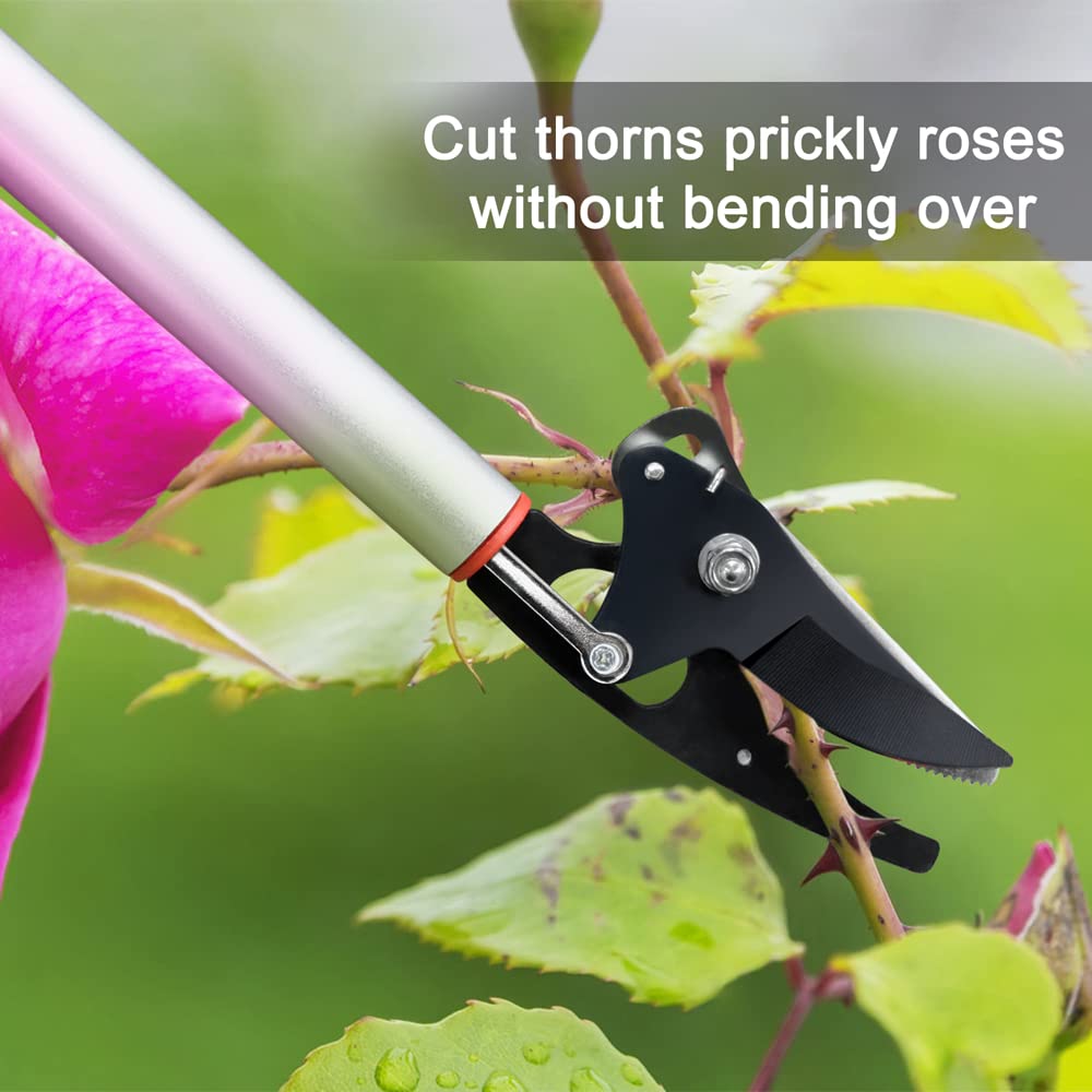 Byhagern pruner cuts up to 1/2 inch with precise, clean blades.