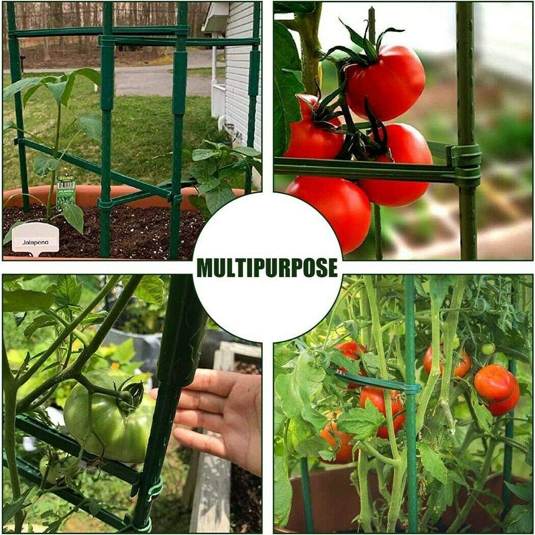 Bykswil B-type connector aligns climbing plants for tidy frames.