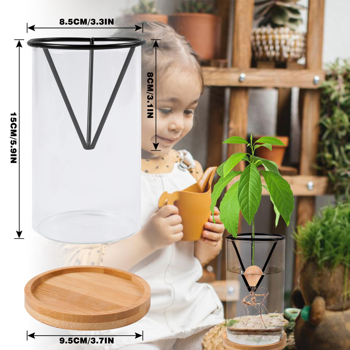 Bylion wooden base part of the avocado kit for elegant display