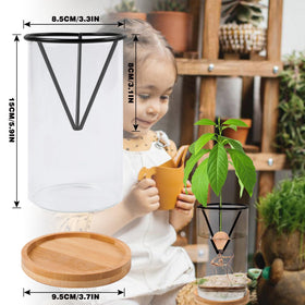 Bylion wooden base part of the avocado kit for elegant display
