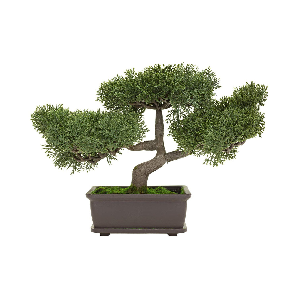C CRYSTAL LEMON bonsai pot closeup with drainage and edge design