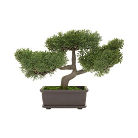C CRYSTAL LEMON bonsai pot closeup with drainage and edge design