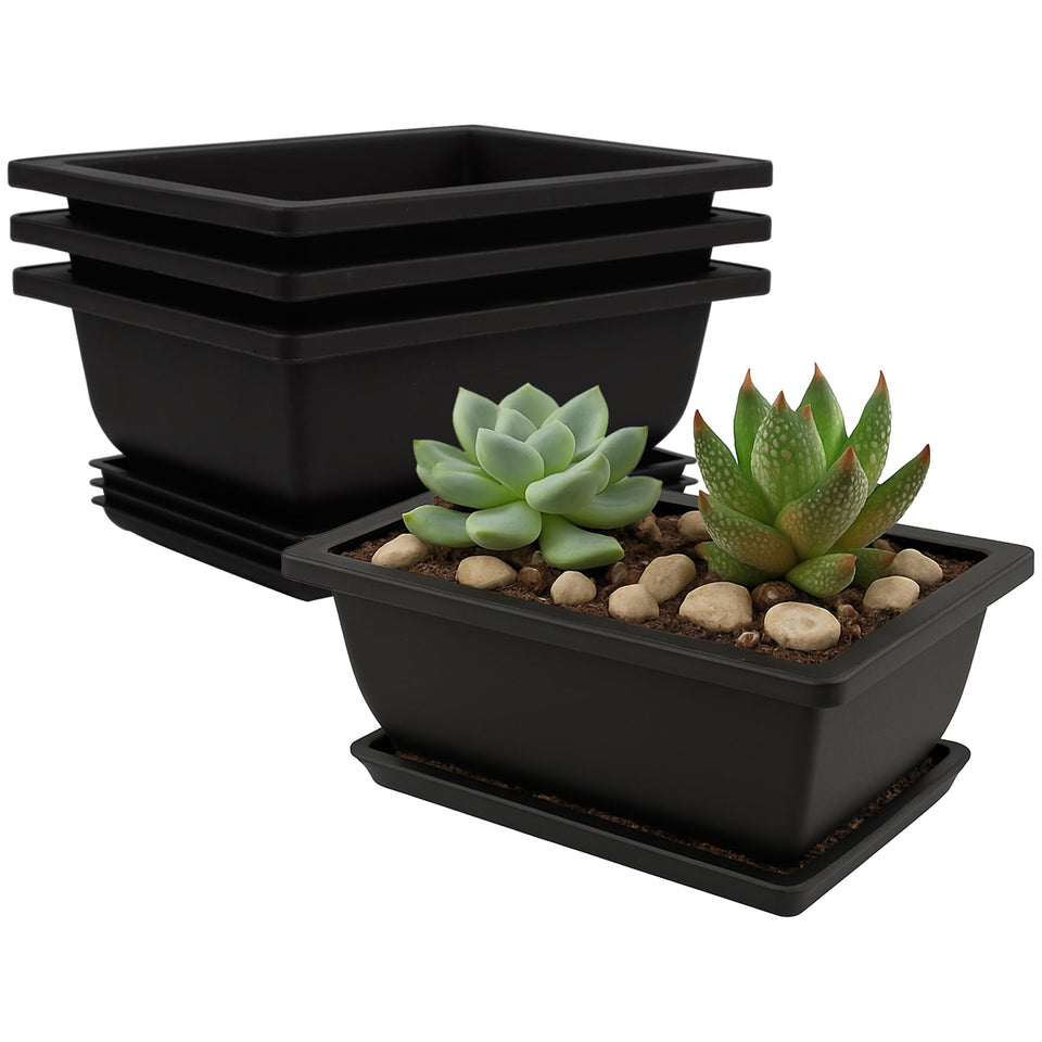 C CRYSTAL LEMON bonsai pot with drip tray showing drainage design for healthy roots