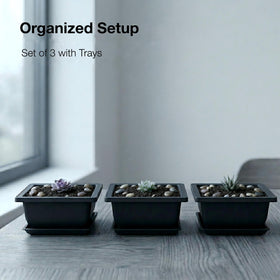 C CRYSTAL LEMON planter highlighting drainage holes and mesh screen for moisture control