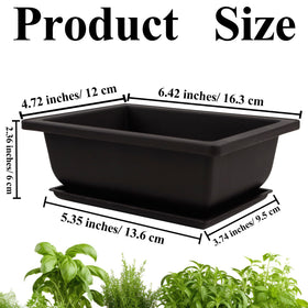 C CRYSTAL LEMON three-pack planters for cohesive plant displays