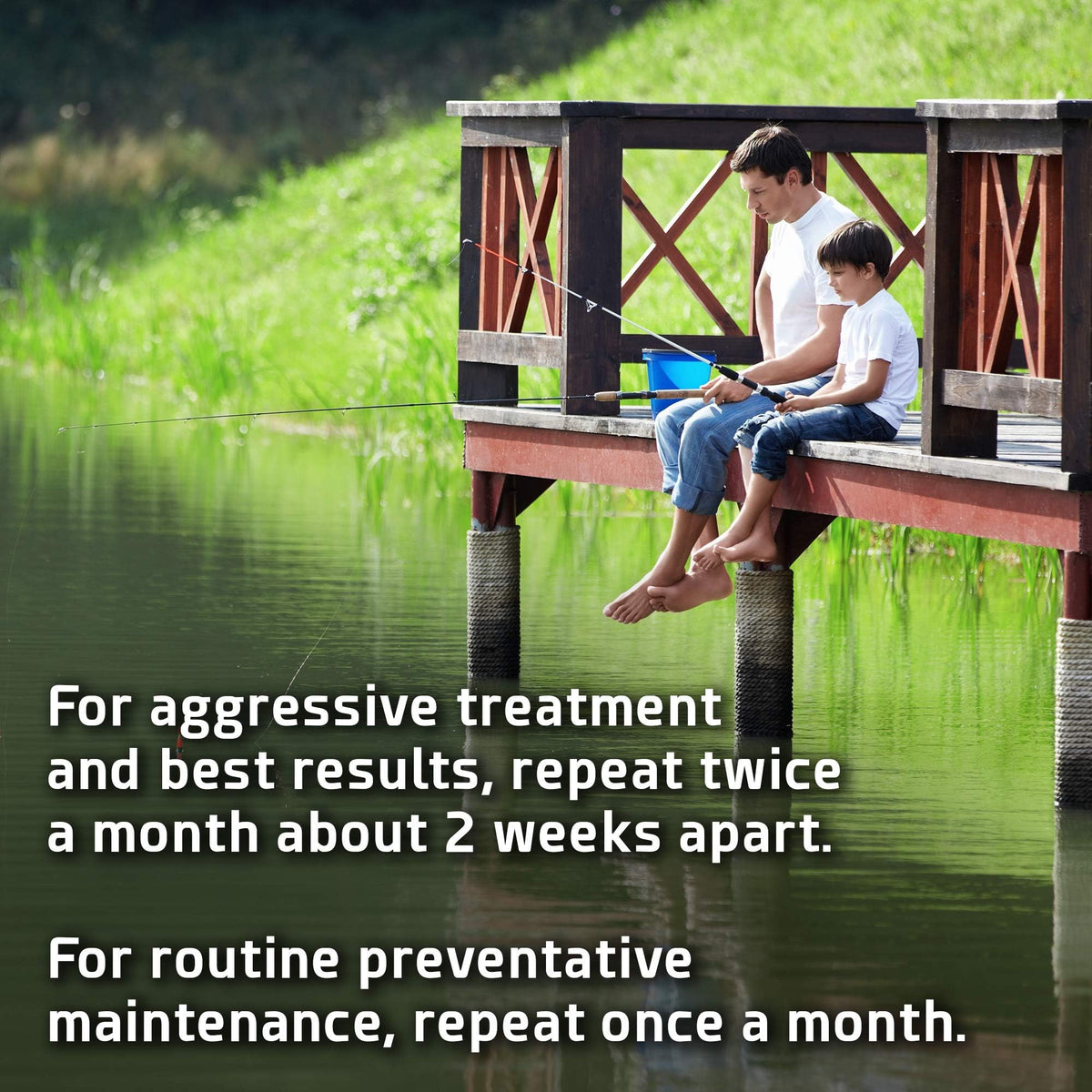 Shoreline odor reduction visible with regular dosing