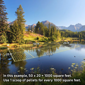 Pond water clarity improving with steady treatment from Cabin Obsession