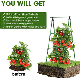 CACERIAWM A-frame design provides stable support for tall cucumber vines.