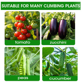 CACERIAWM durable structure supports multiple vine plants season after season.