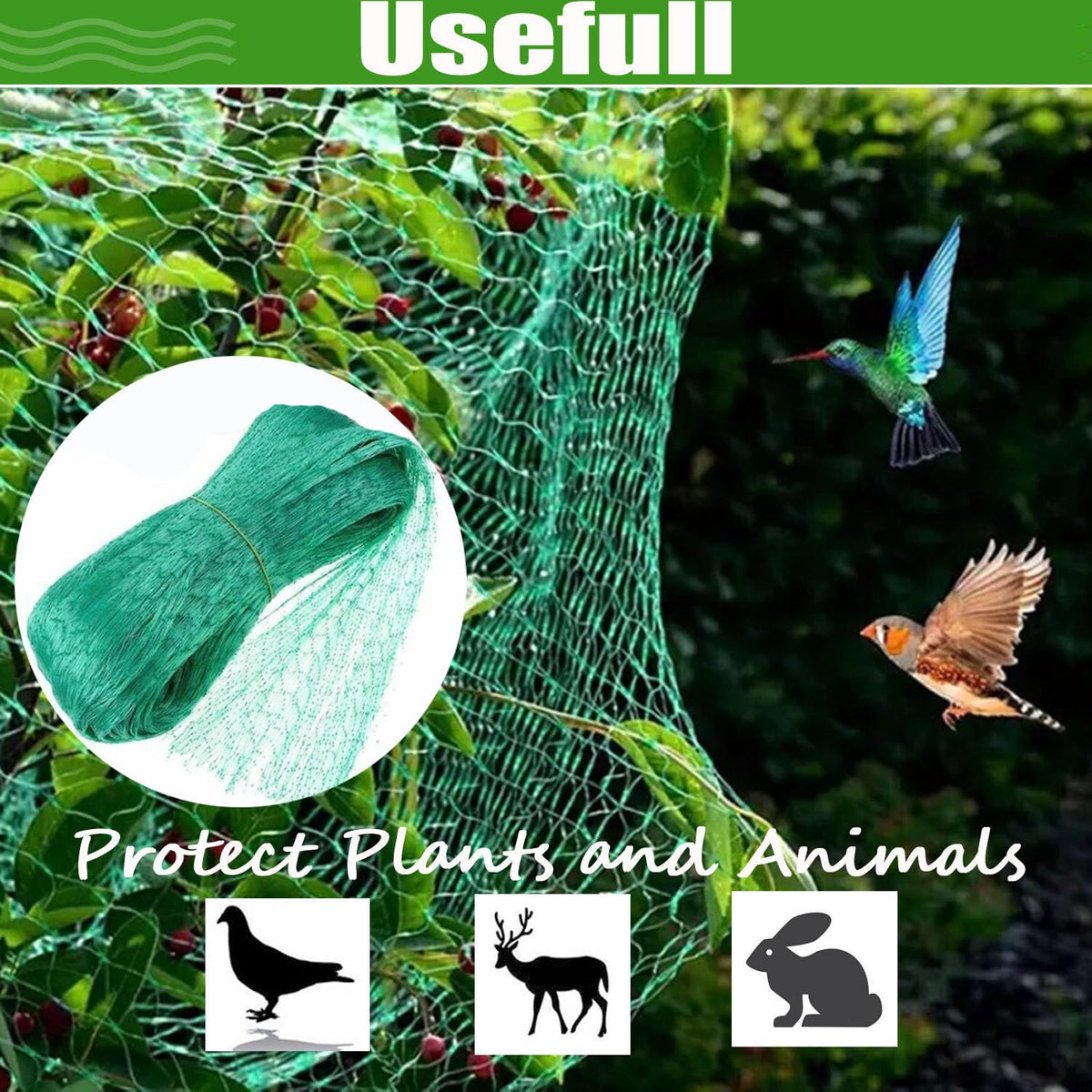 CACERIAWM trellis ideal for raised beds and ground gardens.