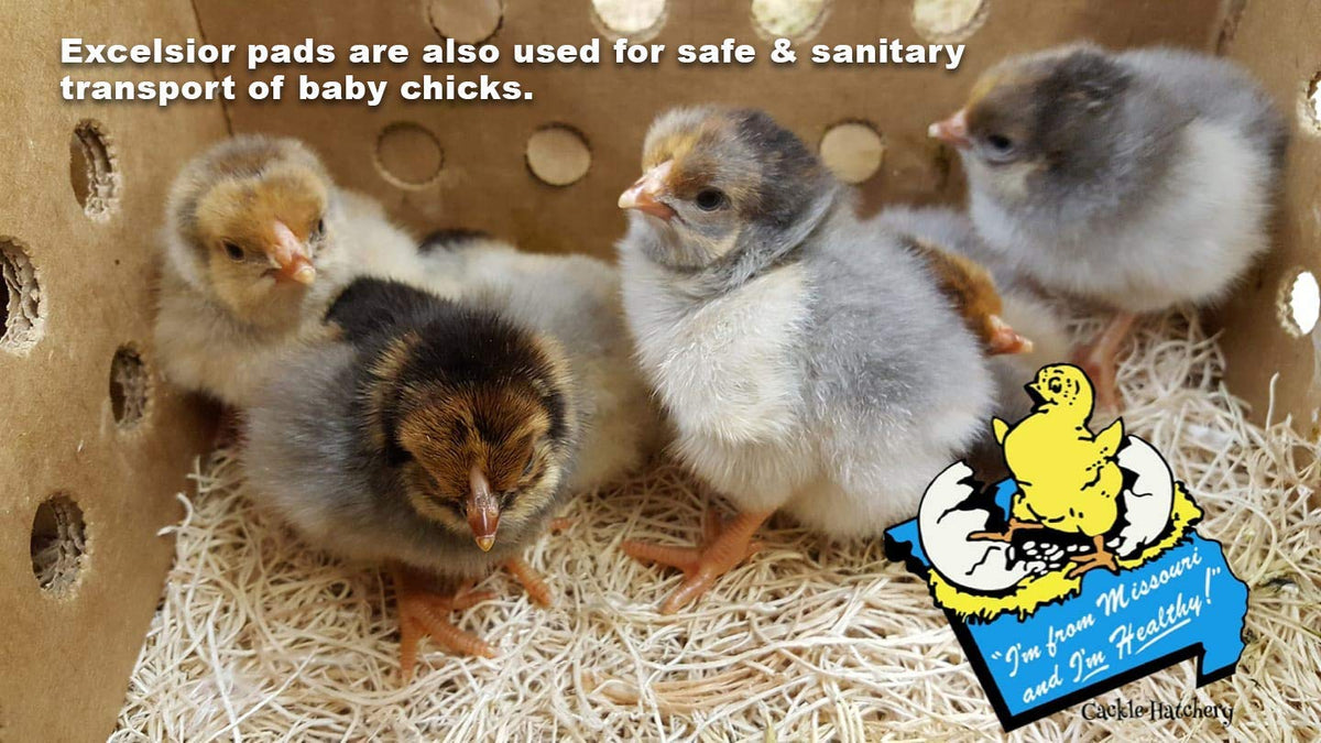 Cackle Hatchery easy-install nest pad simplifies nest upkeep.