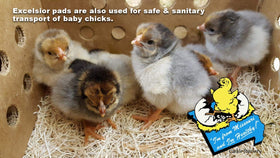 Cackle Hatchery easy-install nest pad simplifies nest upkeep.