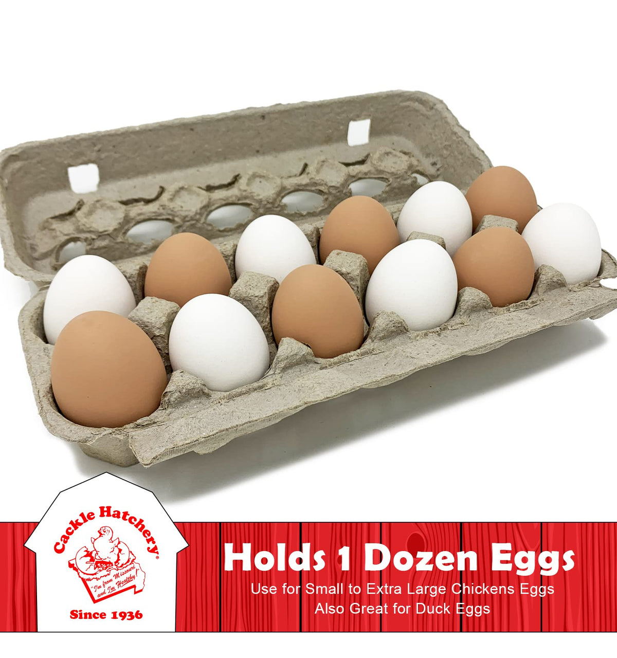 Cackle Hatchery eco-friendly paper pulp packaging emphasizing recyclability
