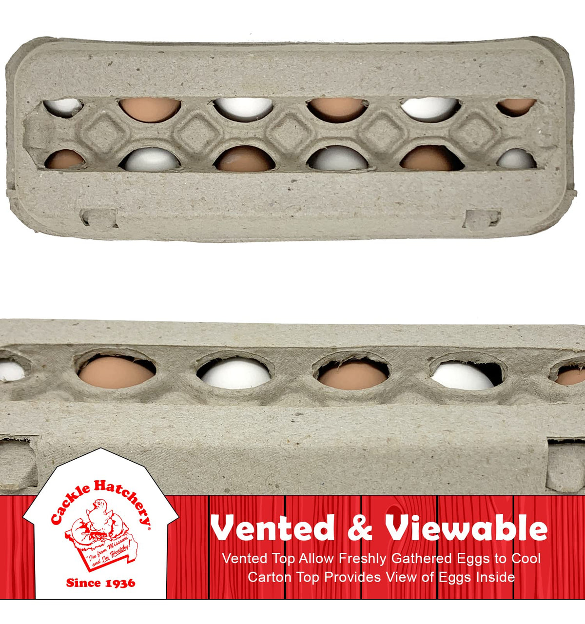 Cackle Hatchery egg cartons interior view highlighting 12-egg capacity