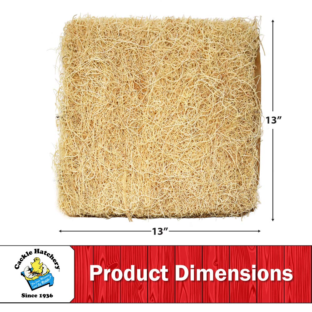 Cackle Hatchery excelsior fibers close-up shows breathable, biodegradable nest pad material.