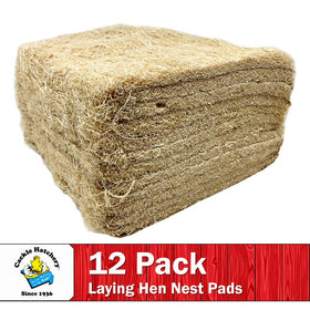Cackle Hatchery excelsior pad for chick brooders provides stable footing.