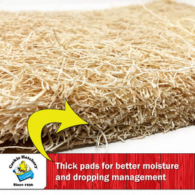 Cackle Hatchery nest box pad in use demonstrates moisture-wicking benefits for hens.
