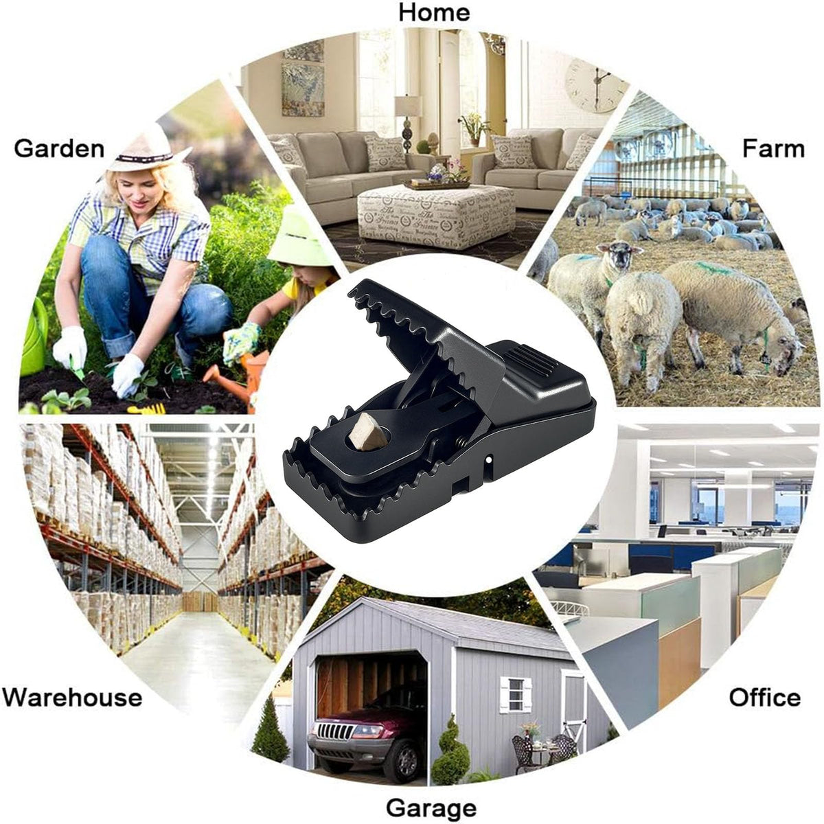 CACUTUSGO placement-along-walls optimized for capturing rodents near entry points.