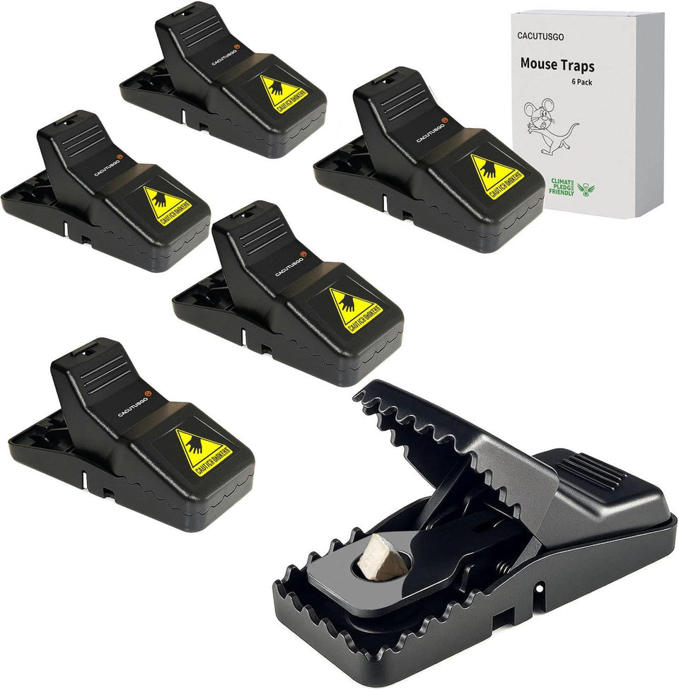 CACUTUSGO reusable indoor mouse trap 6-pack ready for quick setup in home environments.