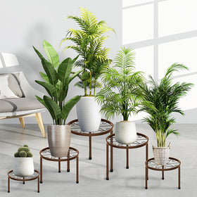 CADANI patio garden scene demonstrates compact, tidy plant organization.