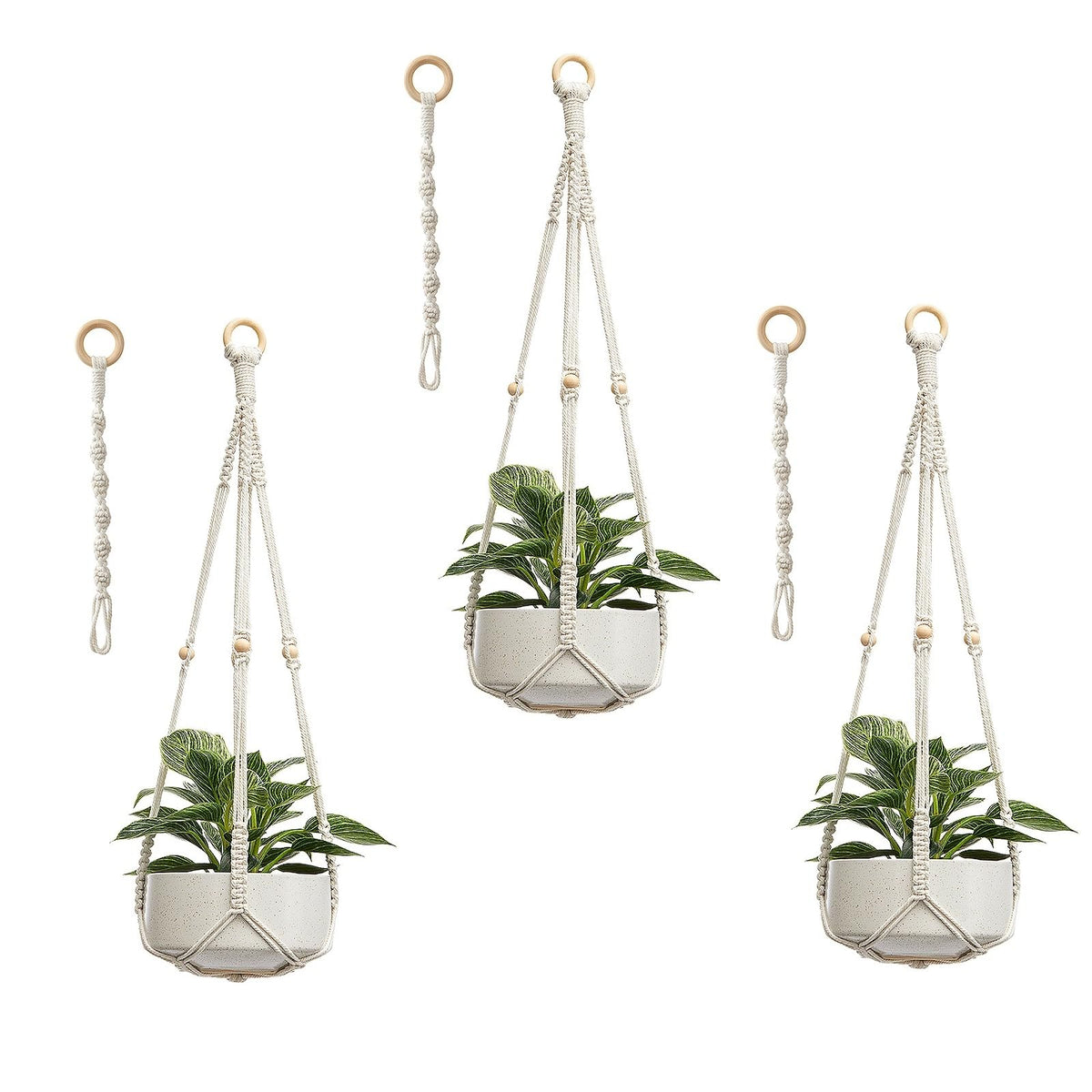 CADNLY hanger for pots up to twelve inches.