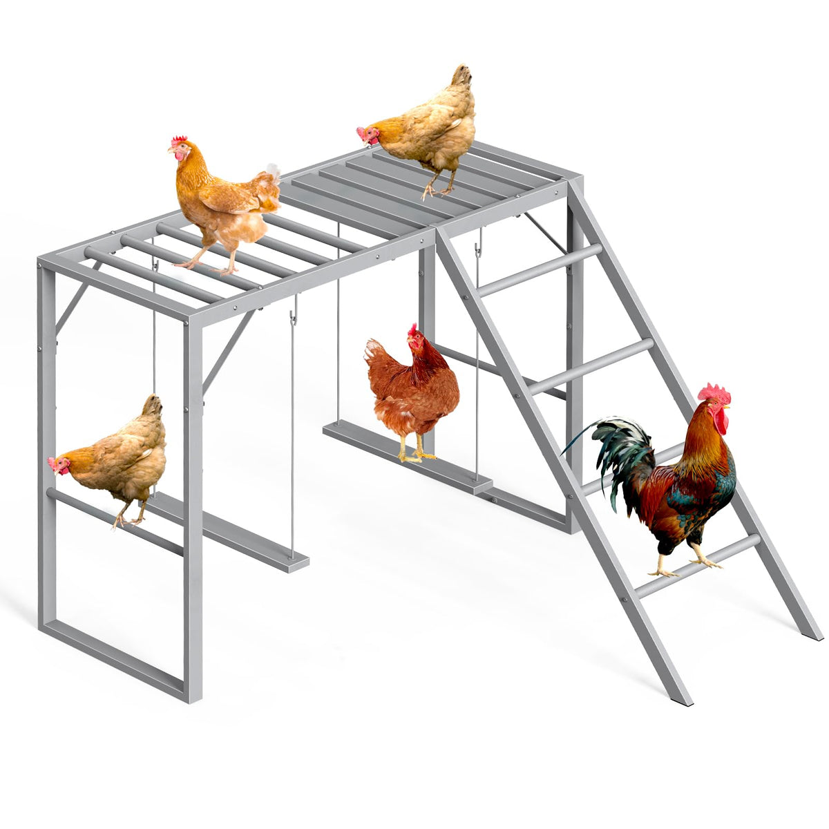 CADUKE chicken perch swing in coop setup boosts space for 8-10 chicks.