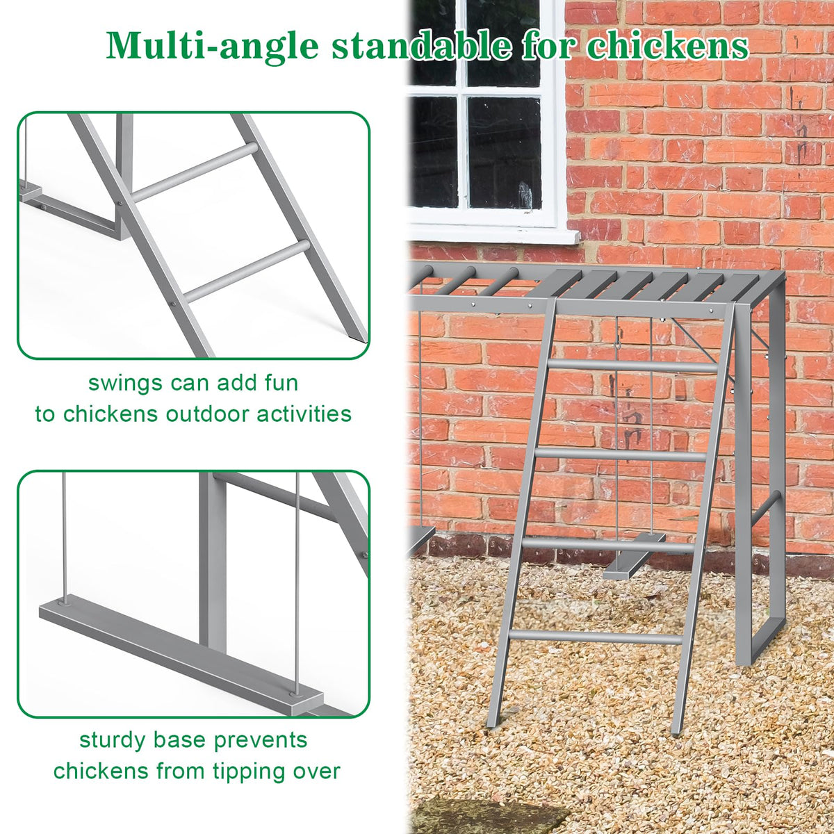 CADUKE chickens exercise on perches, promoting healthier movement and activity.