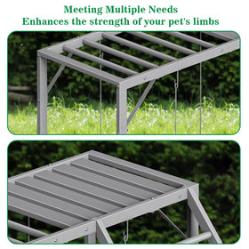 CADUKE four perches and two swings encourage exercise and balance.