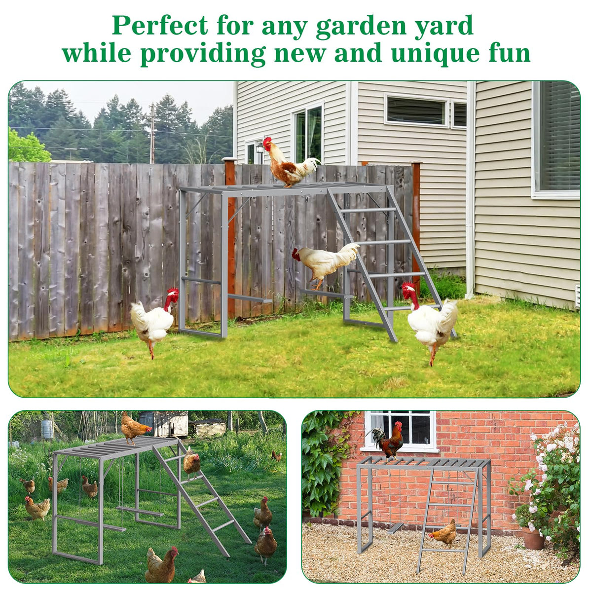 CADUKE roosting bars with ladder provide easy access for daily use.